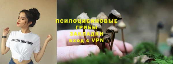 apvp Гусев
